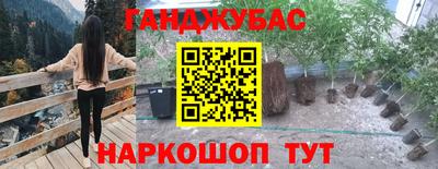 эйфоретик Ярославль