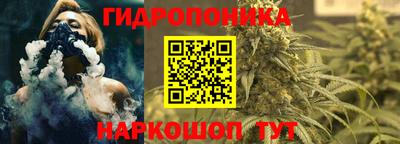 гашик Ярцево